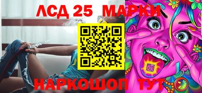 apvp Нальчик