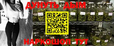apvp Нальчик