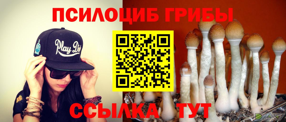 Галлюциногенные грибы Magic Shrooms Солнечногорск