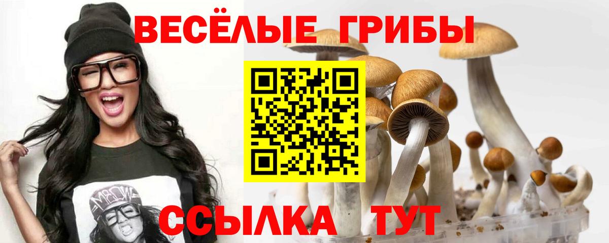 Псилоцибиновые грибы GOLDEN TEACHER Солнечногорск